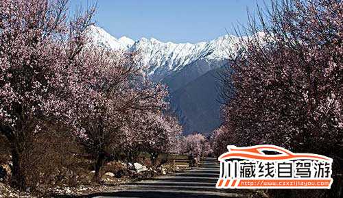 川藏線旅游