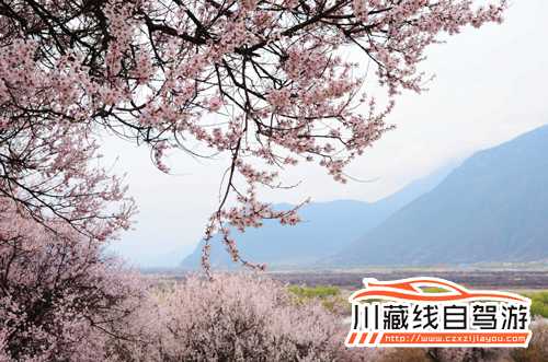 川藏線旅游