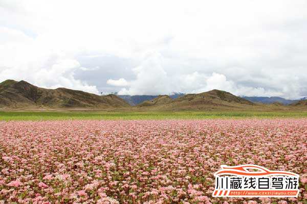 川藏線自駕游