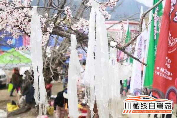 川藏線自駕游
