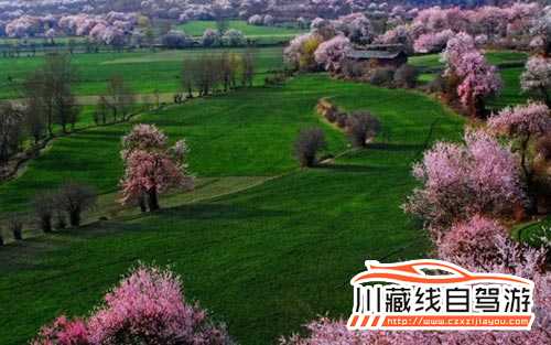 川藏線拼車旅游