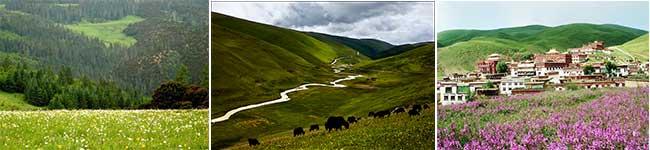雅江、剪子彎山、理塘