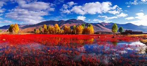 桑堆紅草地