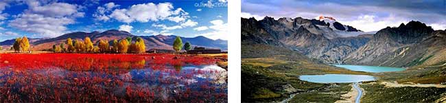 桑堆紅草地、海子山