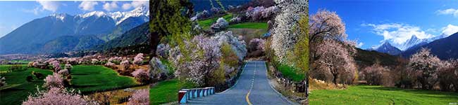 桃花溝