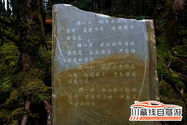 川藏線路況