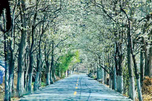 川藏線拼車旅游
