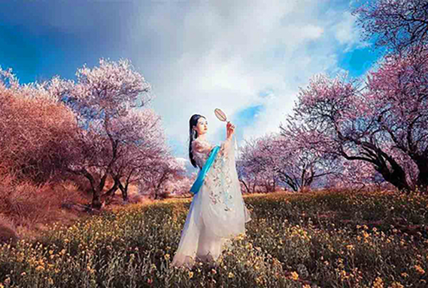 林芝桃花人像照片林芝桃花大圖片欣賞